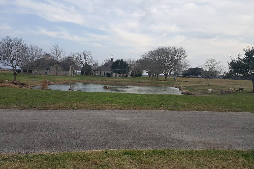 View from front porch