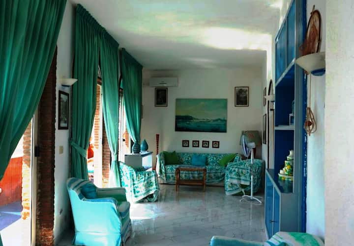 Მისაღები ოთახი პანორამული ტერასითა და გასაშლელი დივნით 