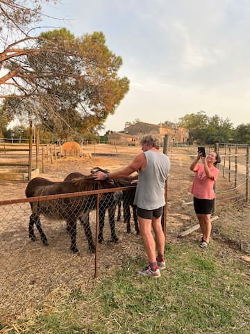 Amplia masia cerca del mar gallery image 2