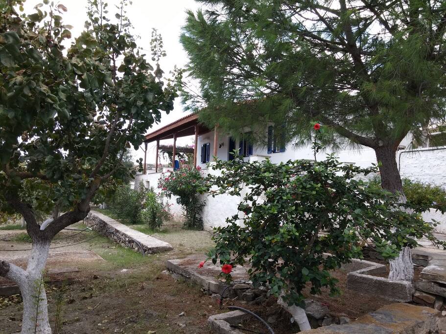 Θέα τού σπιτιού από τον κήπο