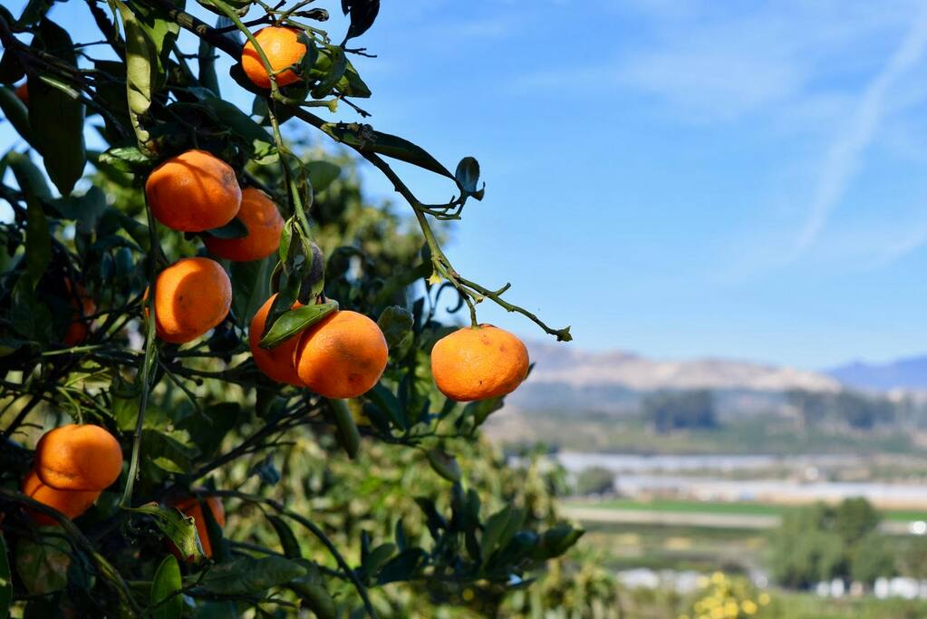 located high above the city in a beautiful orchard