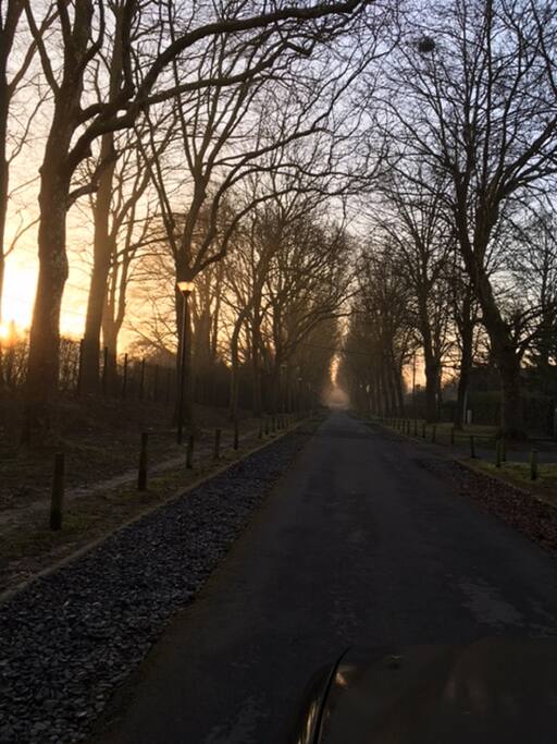 Sur la route vers le Pigeonnier