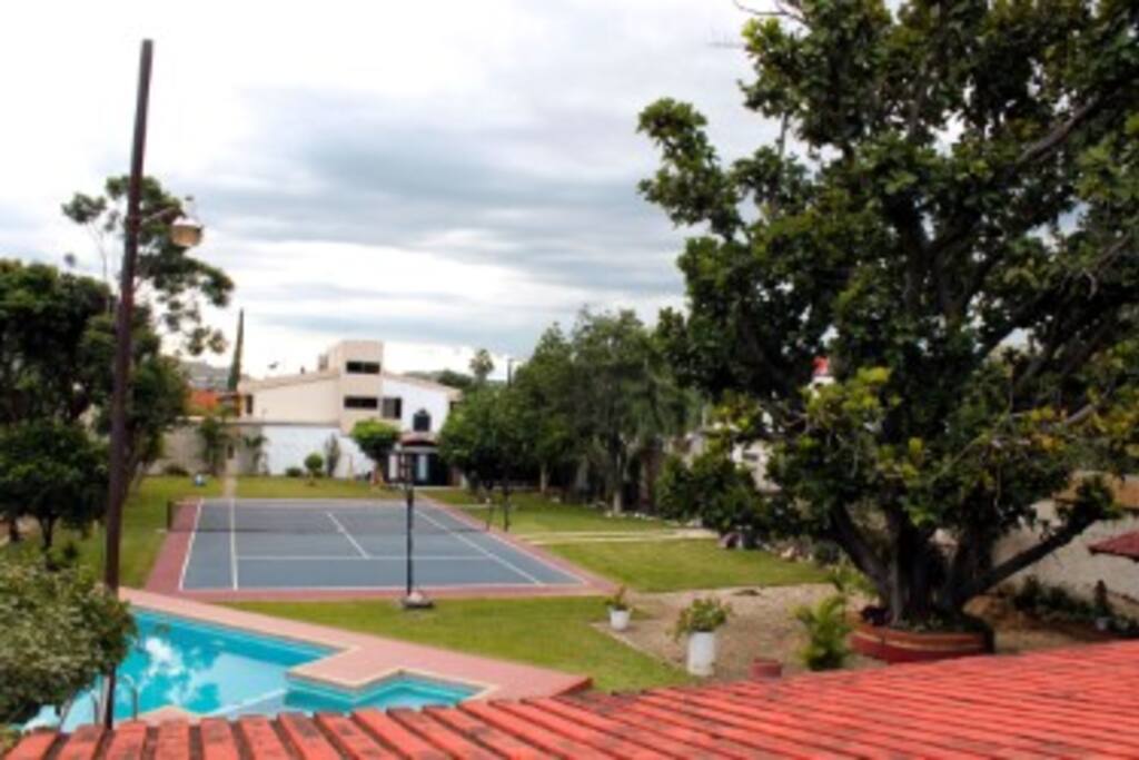 Jardin