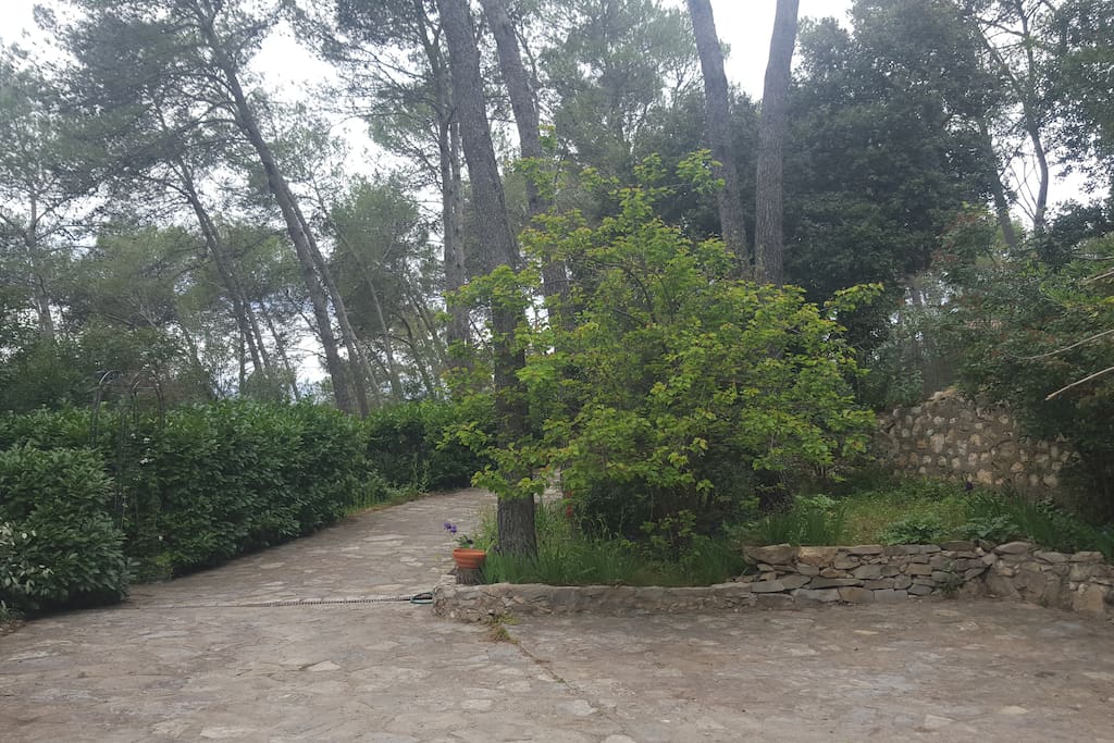 allee d'arrivée