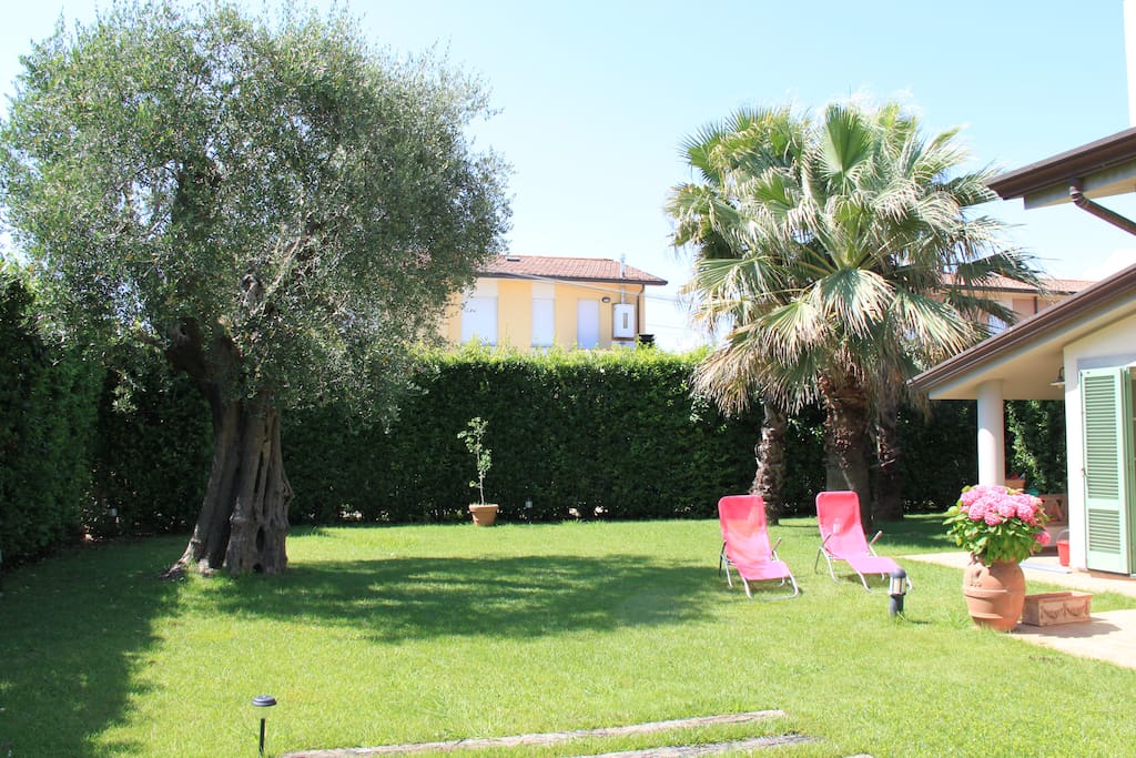 Jardin