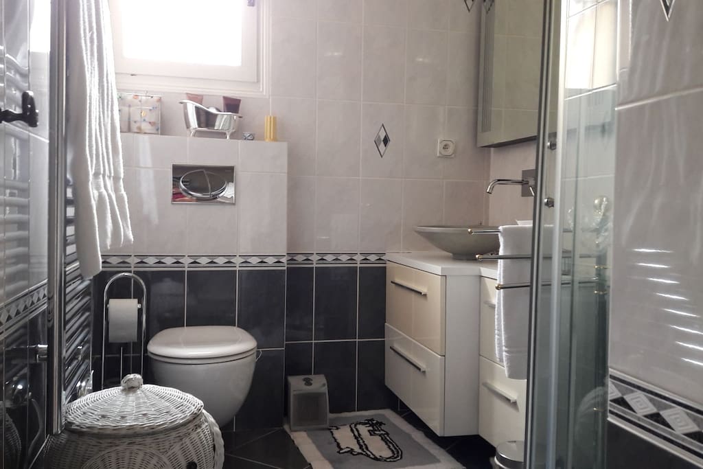 LA SALLE D EAU PRIVÉE AVEC TOILETTE