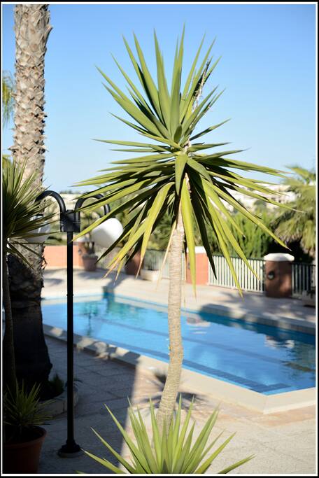 Larger than average pool of 45' x 15' and pool deck