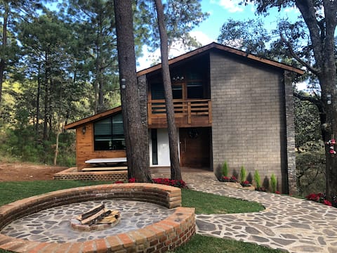 Cabin on a creek in the woods
