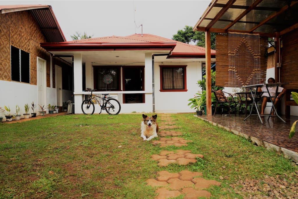 The main garden and common area with Patio and hammock. The center structure is the main house of the owner.
There is 1 resident but friendly dog in the area no need to worry. As you can see at the left part of the image are the 2 doors intended for Intoy's Backpackers. 2 rooms 1 Female Dormitory room and 1 Male Dormitory room. Each room consist of 3 beds with shared Toilet and Shower equipped with air-conditioning, Wifi access, drawers and complete sleeping and bathroom amenities.