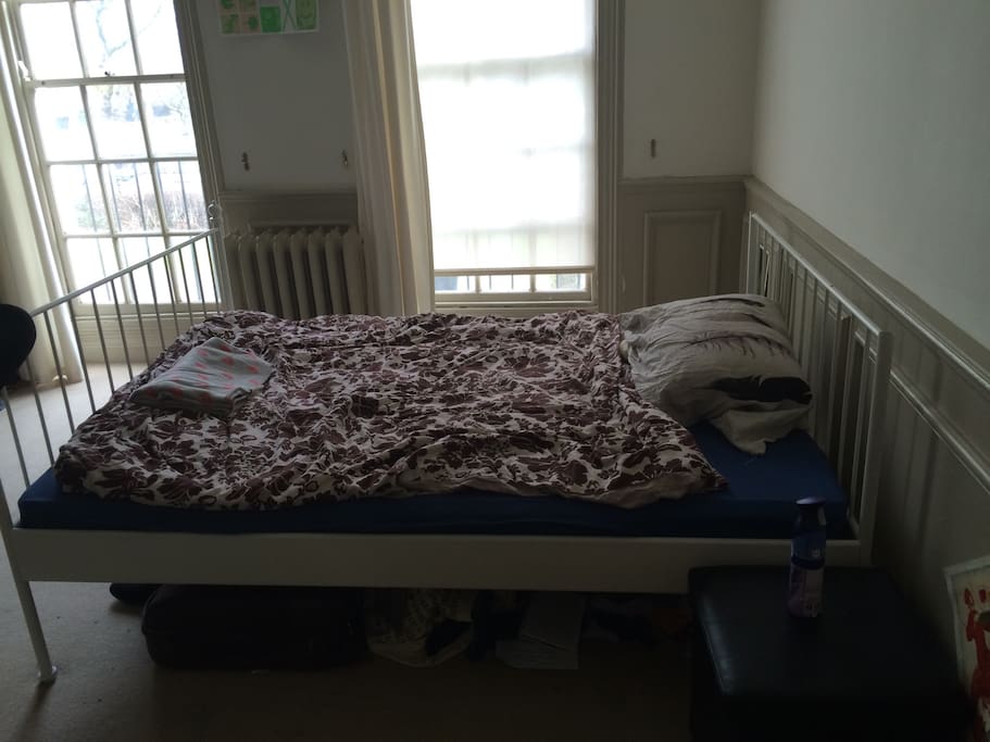 bed