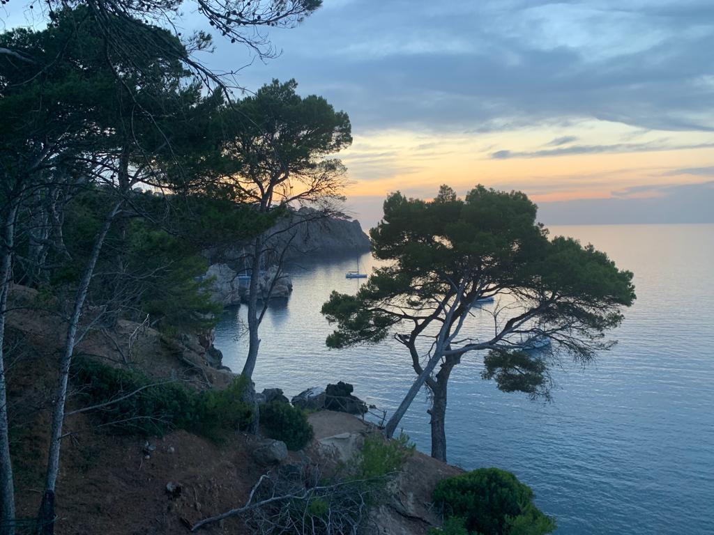 A serene coastal view is presented, featuring calm waters reflecting soft hues of sunset. Silhouetted trees frame the foreground, while distant boats are anchored near rocky cliffs. The landscape captures a tranquil moment by the Mediterranean Sea, inviting relaxation and appreciation of nature.