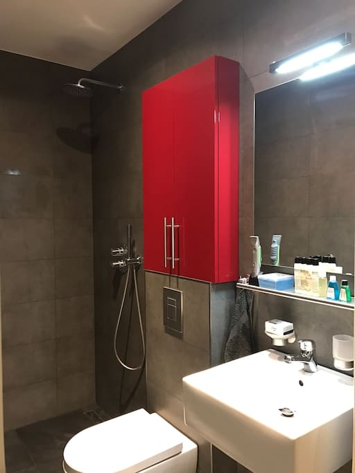 Luxurious bathroom with floor heating, rain shower, lighted mirror, basin and toilet. Shampoo, soap, conditioner, body lotion, body wash and mouth water included. Fresh towels upon request.