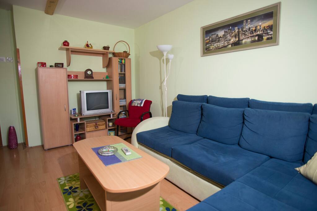 Living room with sofa bed