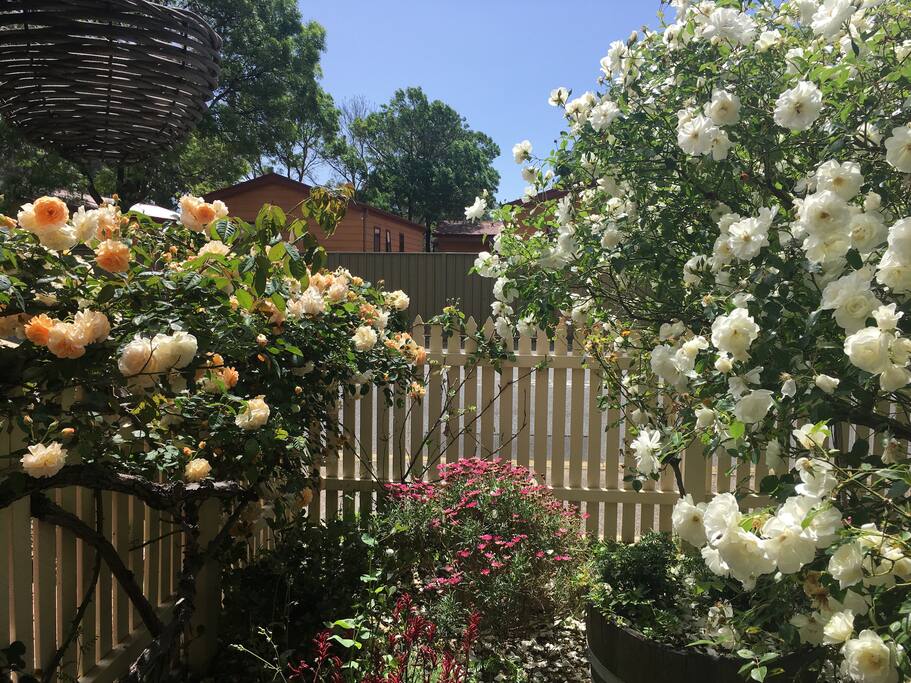 View from seats on front verandah