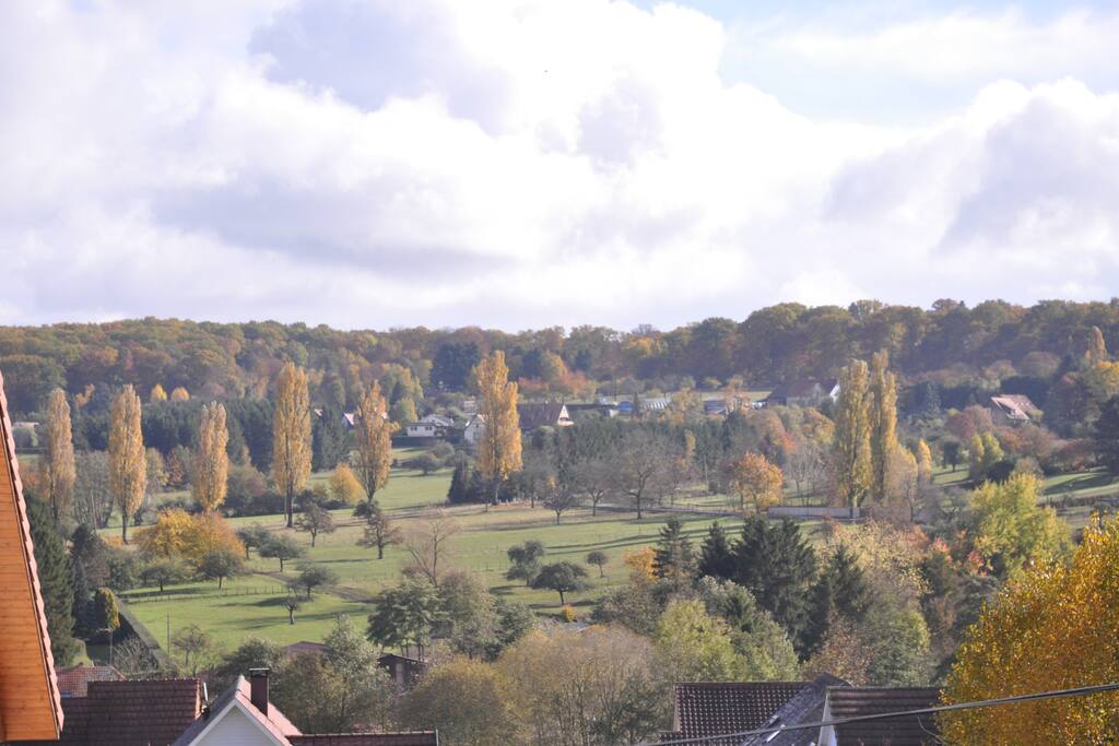 La vue depuis votre chambre
