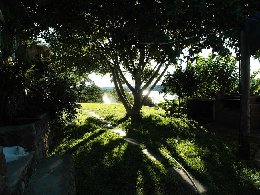View from the vegetable garden overlooking the front lawn out over Zambezi