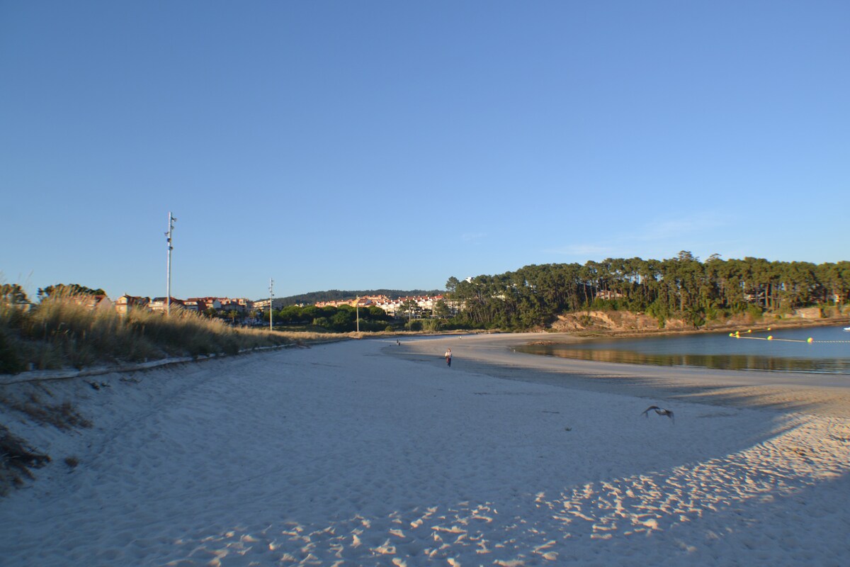 An expansive sandy beach stretches along a calm bay, bordered by gentle dunes and clusters of green trees. A clear blue sky creates a serene backdrop, while distant buildings are visible on the hillside. The tranquil waters reflect the surrounding natural beauty.