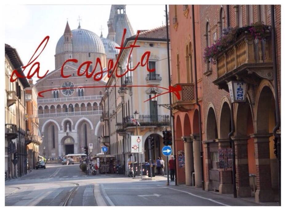 la posizione