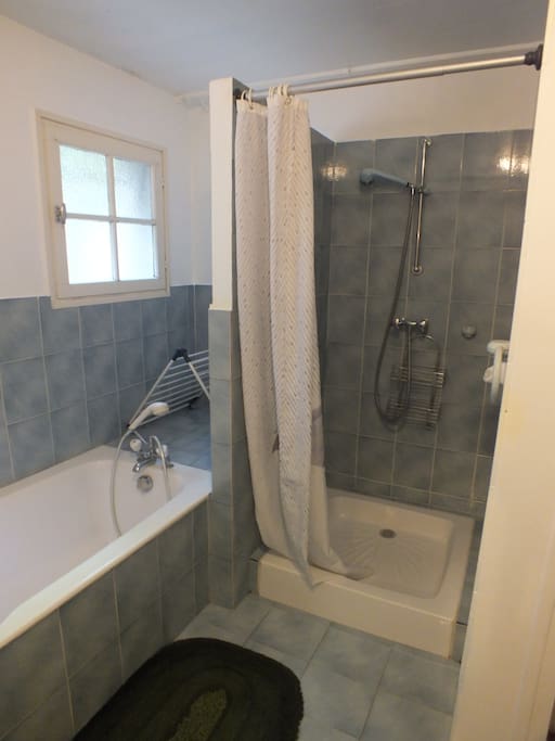 Salle de bain (douche + baignoire)