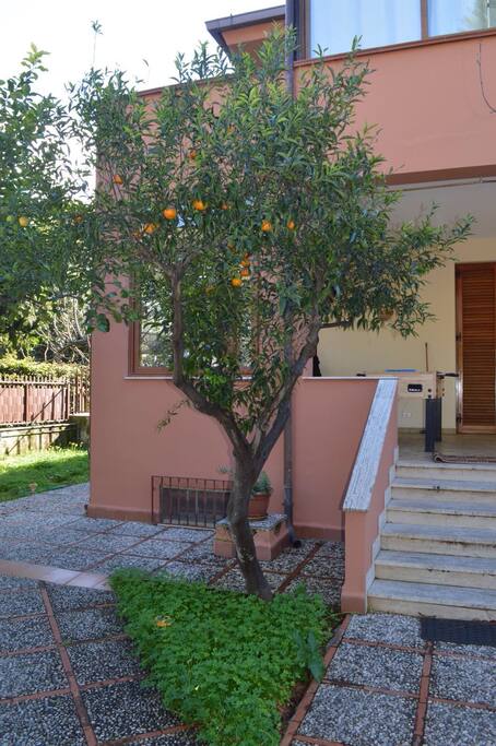 Giradino