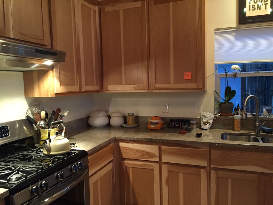 gas stove and large fridge
