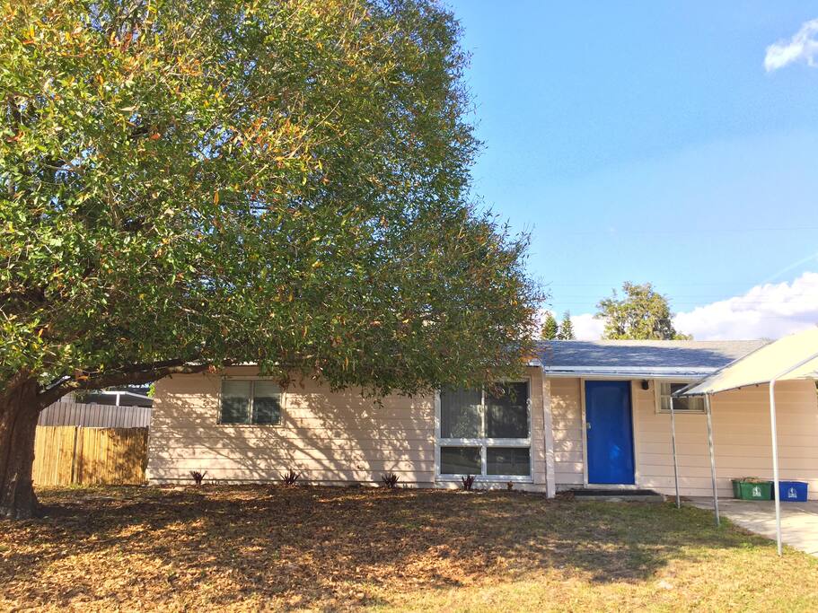 Front yard, bamboo fence, and carport