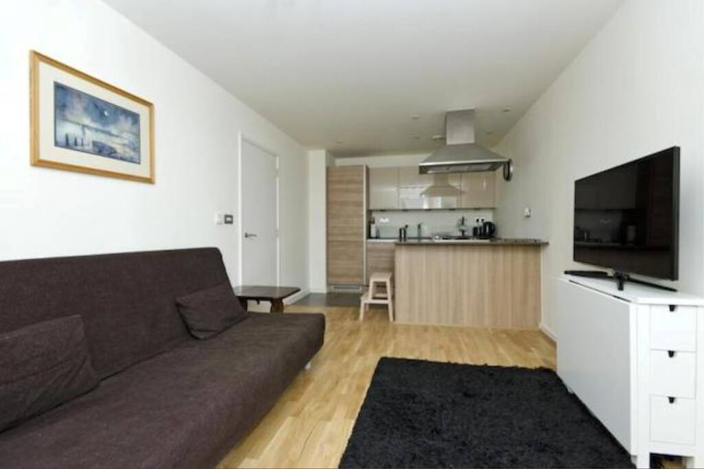 Reception room. Includes a double sofa-bed.