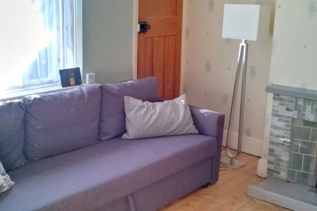 Livingroom/Bedroom (sofa can convert to a double bed)