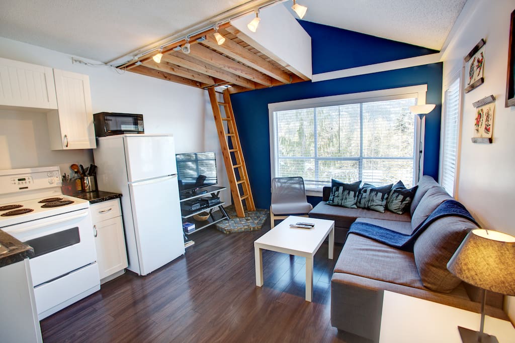 Quaint and cozy. Perfect after a day skiing. (no access to the loft- it's owner storage)