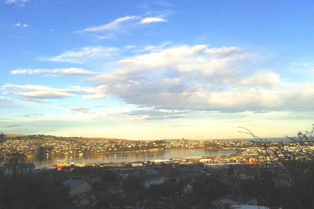 View from the verandah.