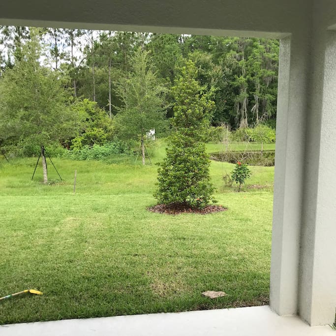 Patio View