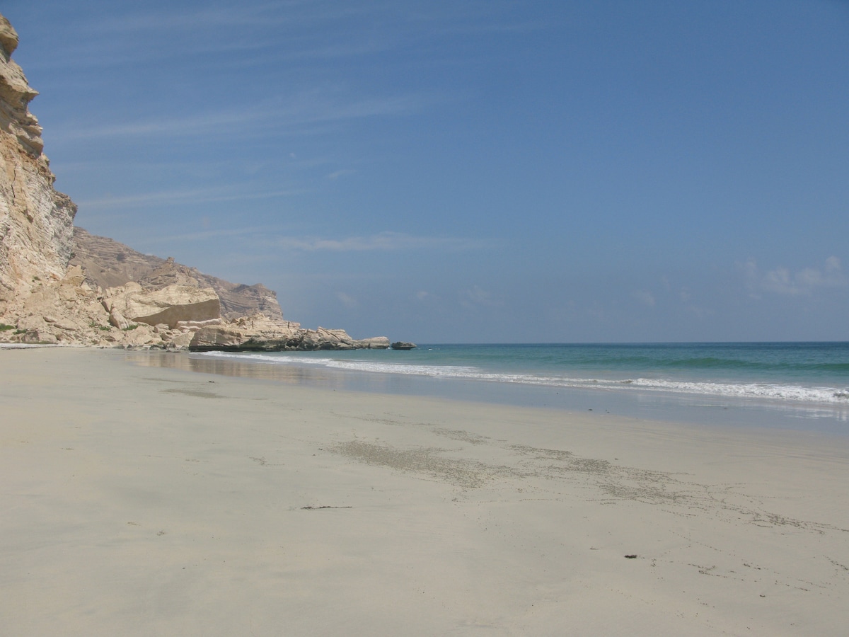 A serene beach is depicted with soft, light-colored sand stretching into the distance. Gentle waves lap against the shore, while a clear blue sky is visible above. Rocky cliffs form the backdrop, creating a natural boundary along the coastline.