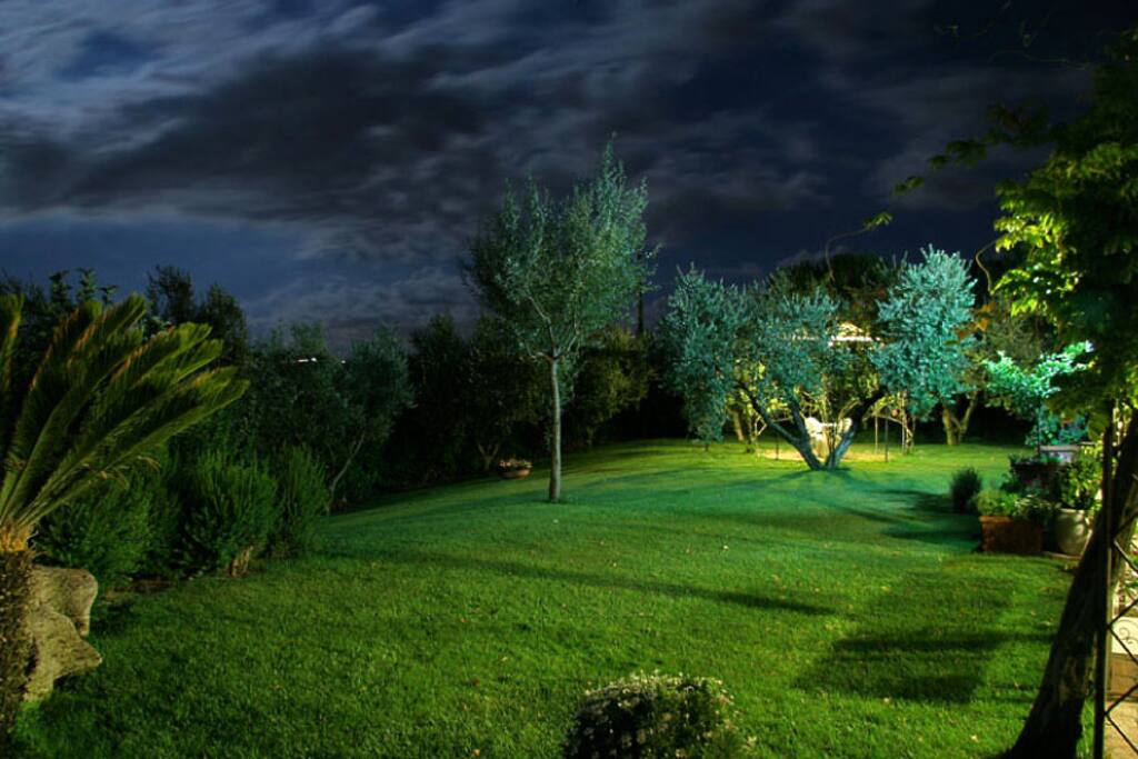 scorcio di giardino