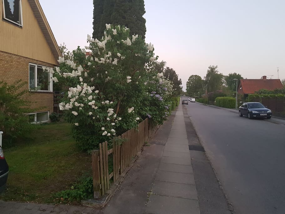 View down the street