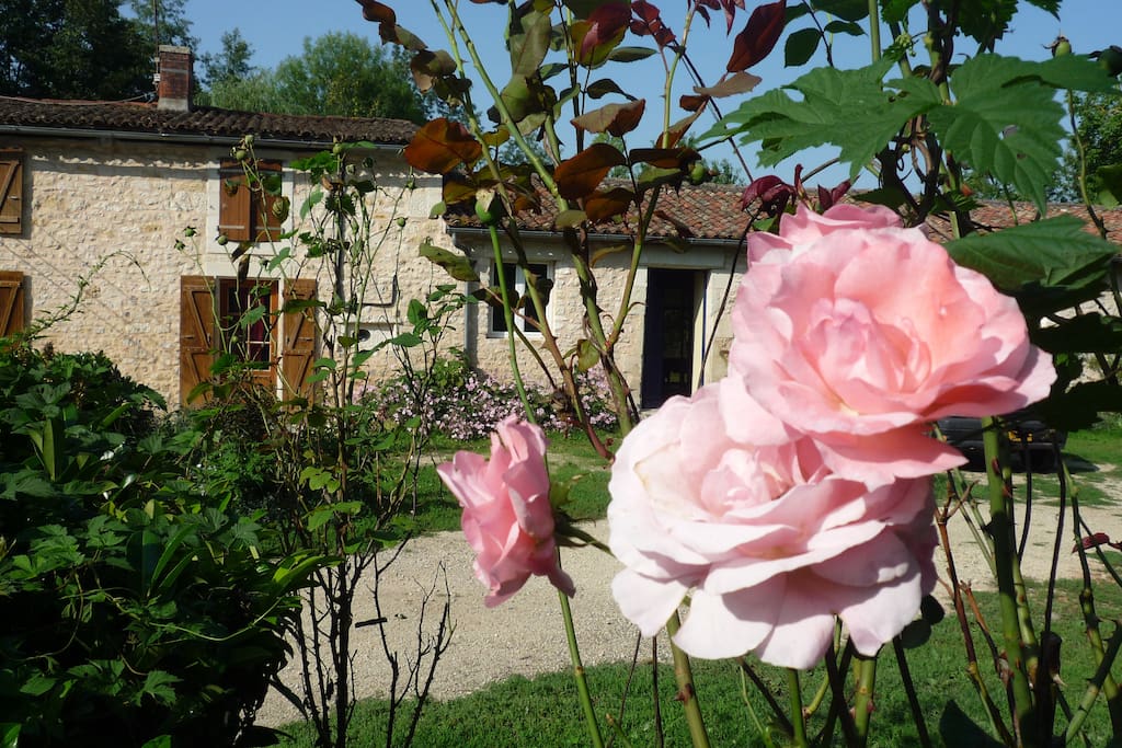 L'arrivée