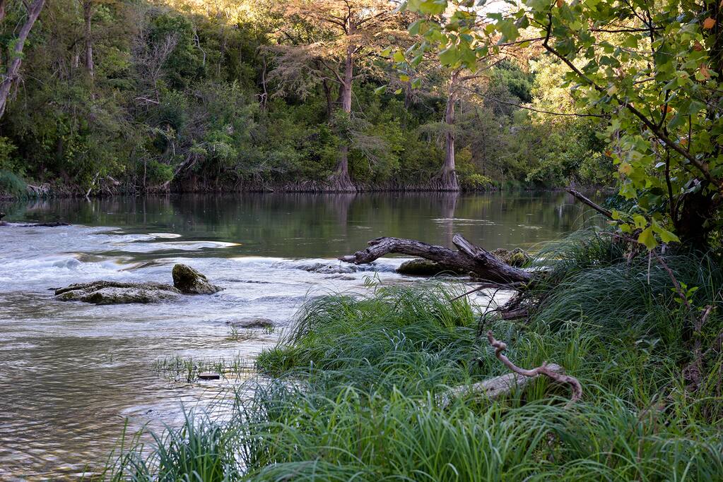 Secluded and serene river just steps from the back porch.