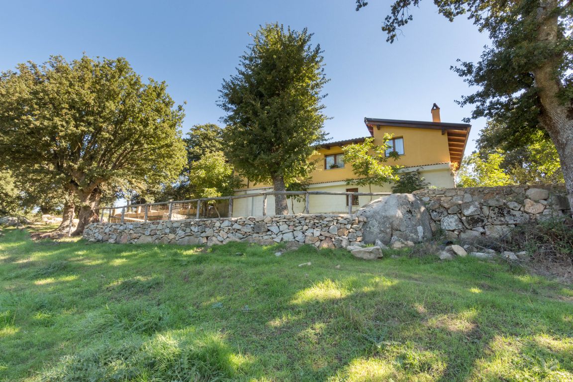 A charming countryside house is surrounded by lush greenery, featuring a stone wall that enhances the natural landscape. Tall trees provide shade, while the building displays a warm, inviting exterior with multiple windows and a covered porch that offers a serene outdoor space.