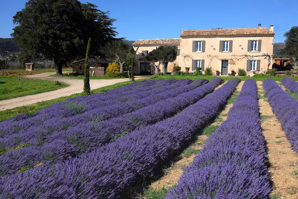 le domaine saint jacques