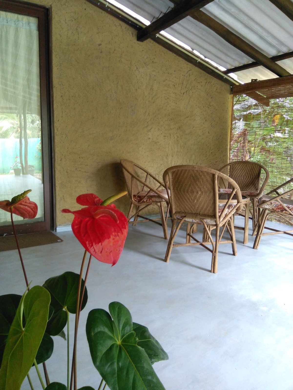A covered outdoor seating area features four wicker chairs arranged around a small table. A bright red anthurium flower and green foliage are prominently displayed in the foreground, adding a touch of natural beauty. The walls exhibit a light, earthy texture.