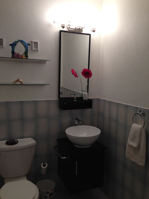 Guest Bathroom