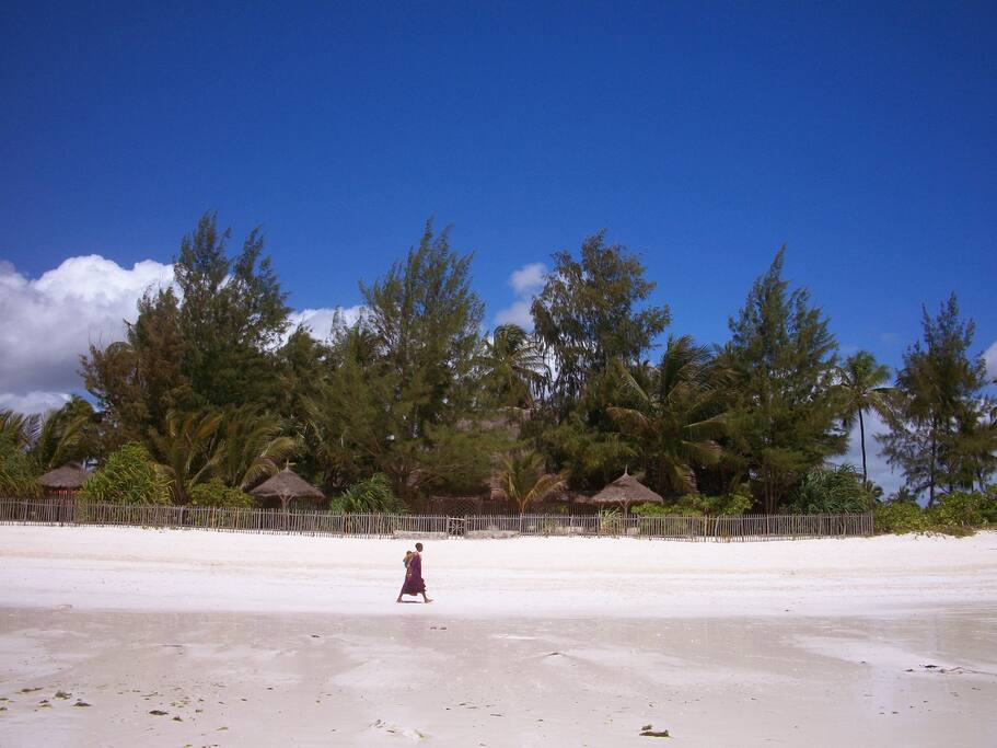 Villa from the beach