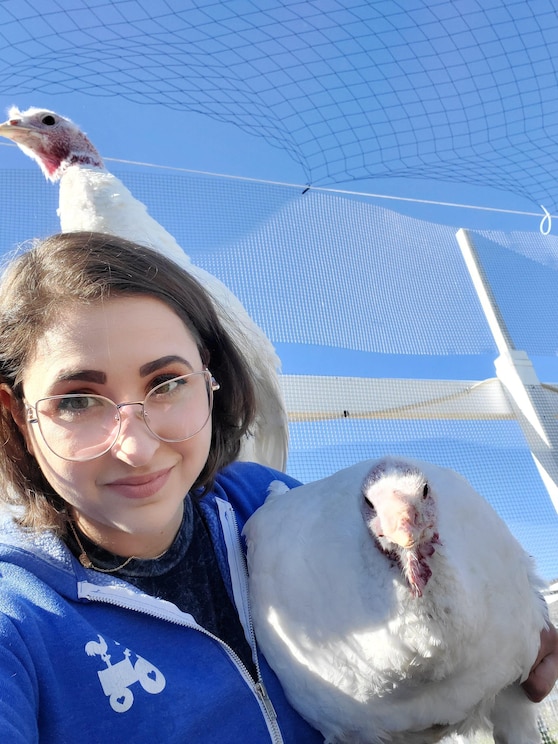 Mostrar imagem fornecida pelo anfitrião em ecrã inteiro