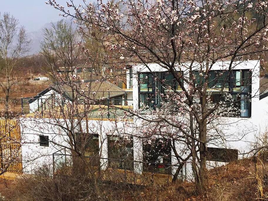 山今宿周边环境