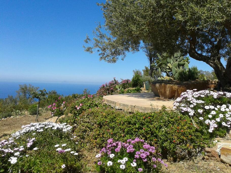 the garden in May