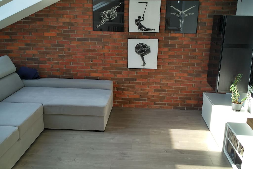 Living room, sofa accomodates 2 people easily.