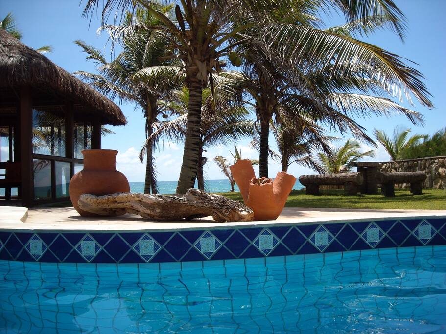 view from the pool