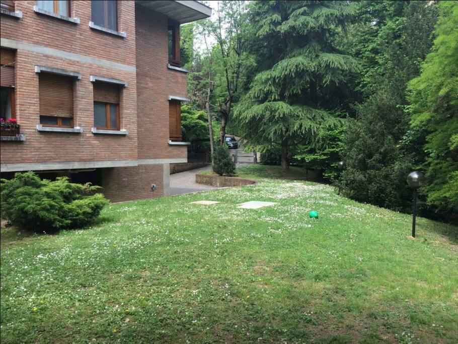garden
