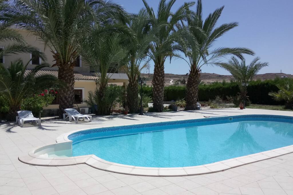 Swimming pool - house back side