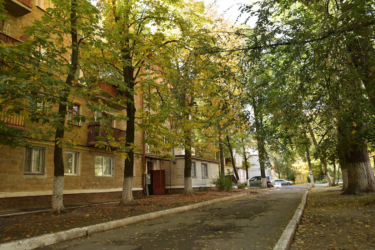 A tree-lined street showcases a charming residential building with a warm-toned exterior. Autumn foliage frames the scene, adding vibrant yellow and green hues. The paved pathway is flanked by well-maintained trees, contributing to the peaceful ambiance of the area.