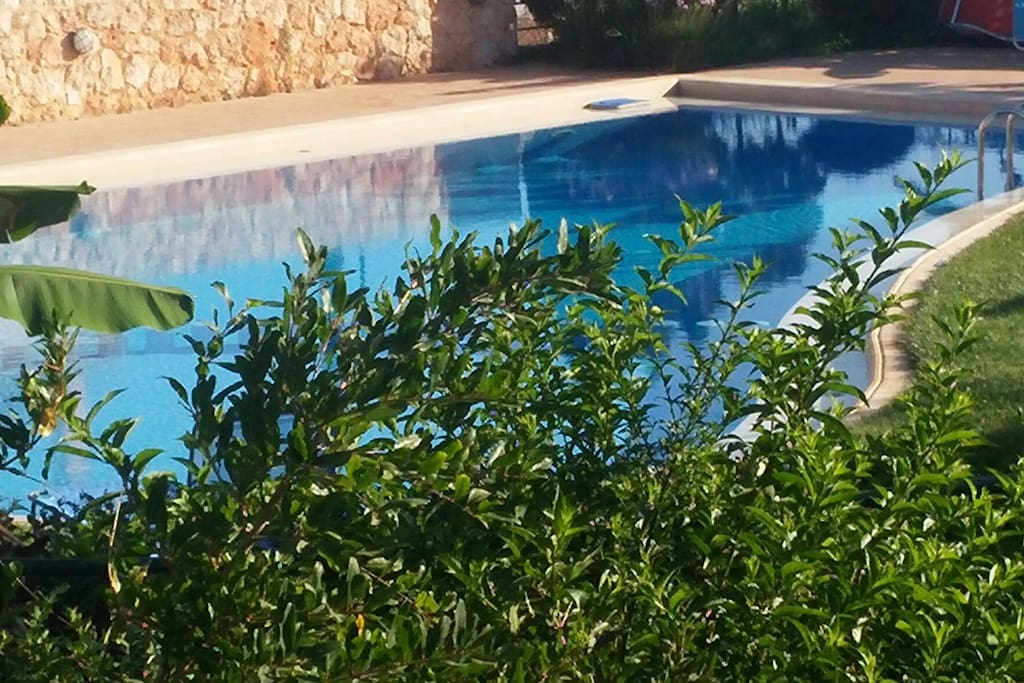La piscine partagée!!!